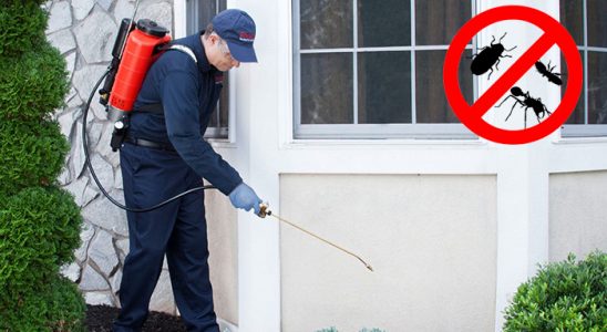 Akdağmadeni Kemirgen İlaçlama böcek ilaçlama ve haşere kontrolü — ilaclama-tr.com